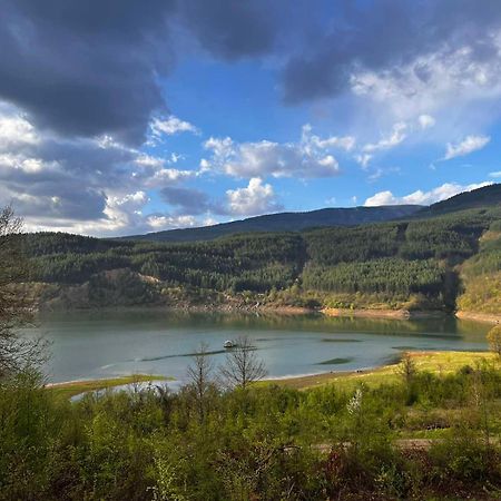 Zavojsko Jezero - Vila Jezero Pirot Buitenkant foto