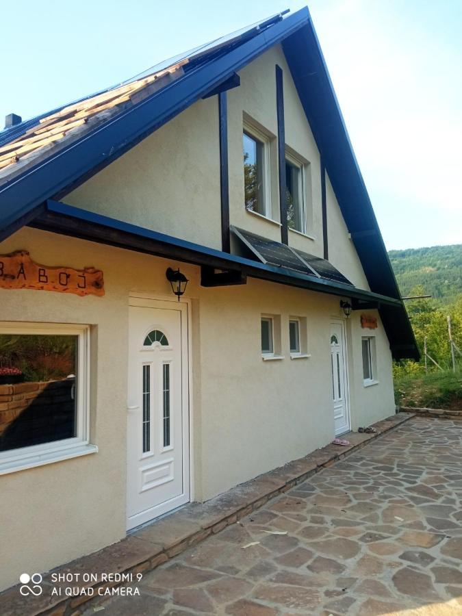 Zavojsko Jezero - Vila Jezero Pirot Buitenkant foto
