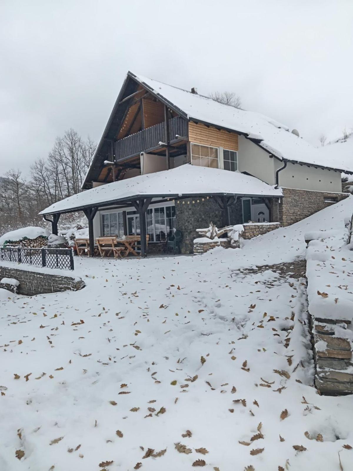 Zavojsko Jezero - Vila Jezero Pirot Buitenkant foto